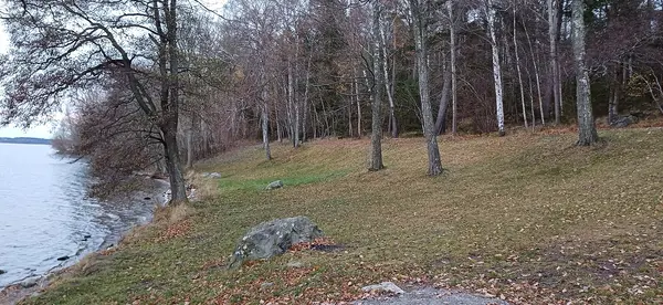 Görvälnsbadet
